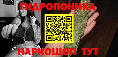 прущие грибы Бердск