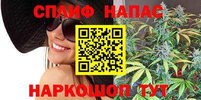 прущие грибы Бердск
