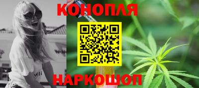 прущие грибы Бердск