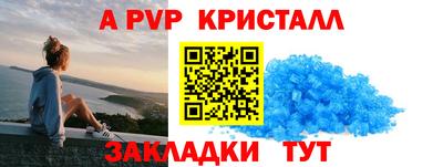 прущие грибы Бердск