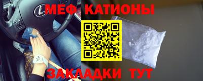 прущие грибы Бердск