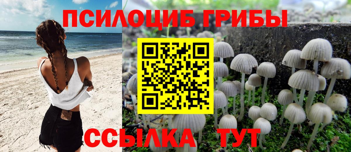 Галлюциногенные грибы Psilocybe  Галлюциногенные грибы Cubensis  Вход с VPN  Клинцы 